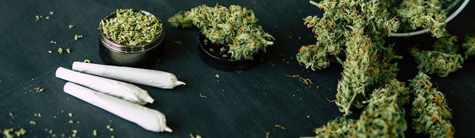 Marijuana Defense: Best in local drug offense lawyers for your situation