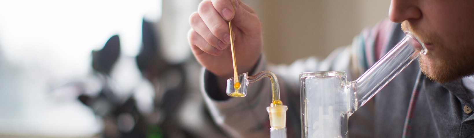 Concentrated Cannabis