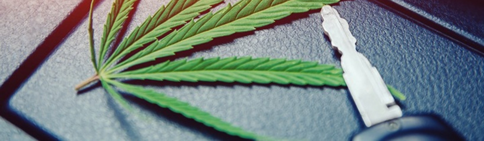 <b>Driving with Marijuana: </b><br>California Vehicle Code 23222 B VC