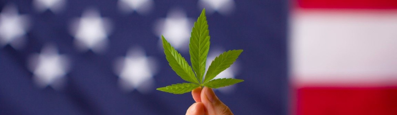 Marijuana and Immigration