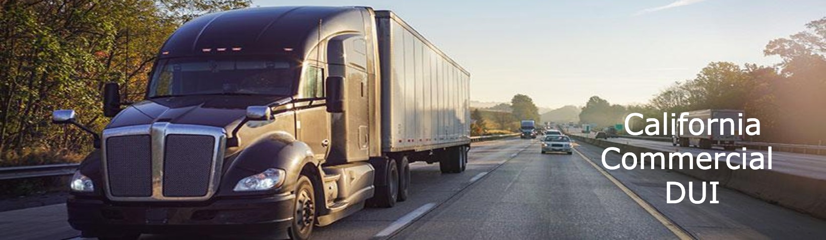 <b>California Vehicle Code Section 23152(d): </b><br>Commercial Driver DUI