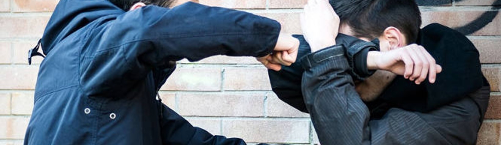 <b>Simple Assault: </b><br> California Penal Code Section 240